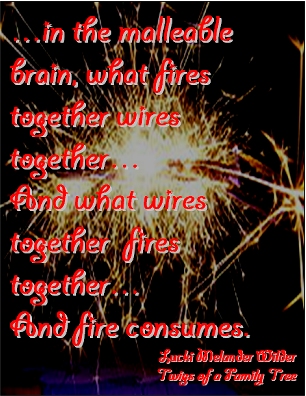 ...in the malleable brain, what fires together wires together...And what wires together fires together...And fire consumes. #Addiction #Ambush #TwigsOfAFamilyTree